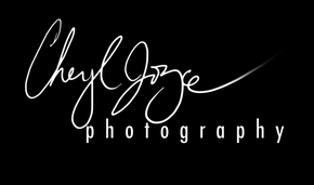 Cheryl Joyce Photography